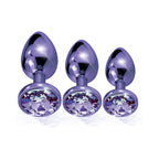 Nixie Metal Butt Plug Trainer Set 3-Piece Purple Metallic