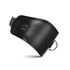 Master Series Hard Stance Padded Locking Posture Collar