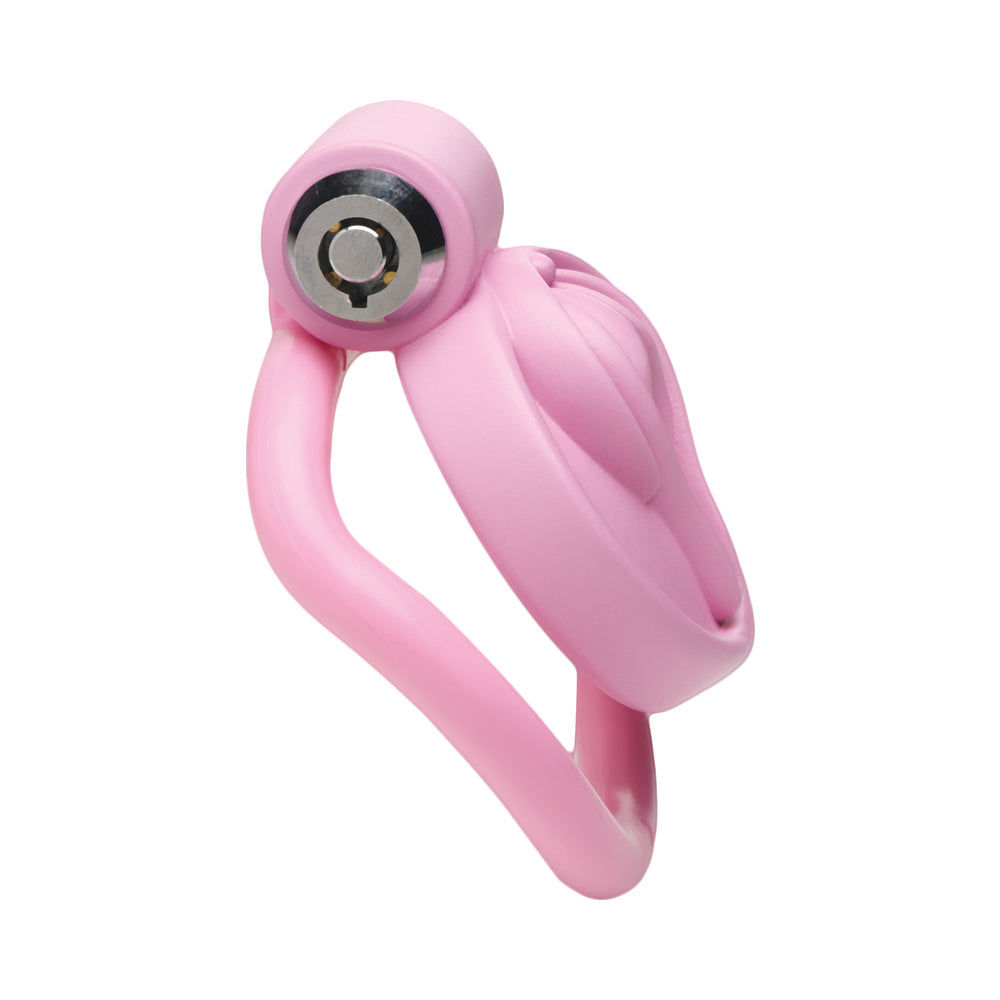 Master Series Vulva Locking Chastity Cage