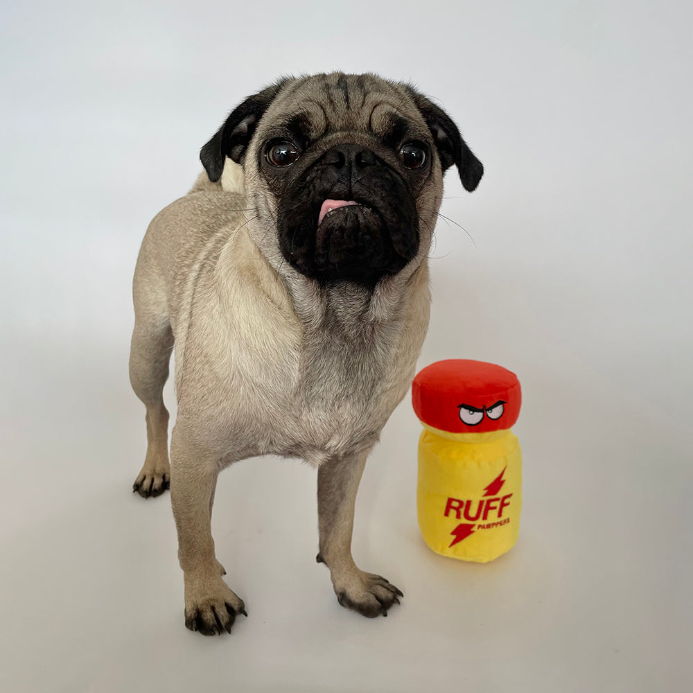 Scruffy Ruff Pawppers