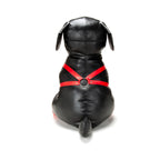 Prowler RED Booted Up Bandit L