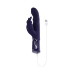 Evolved Big Deal Purple