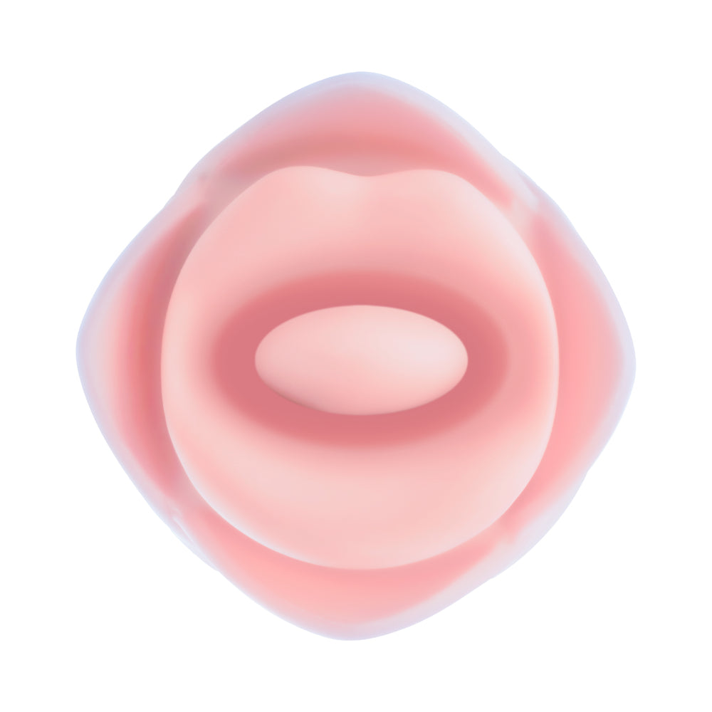 Blush Collection Kissing Rose Pink