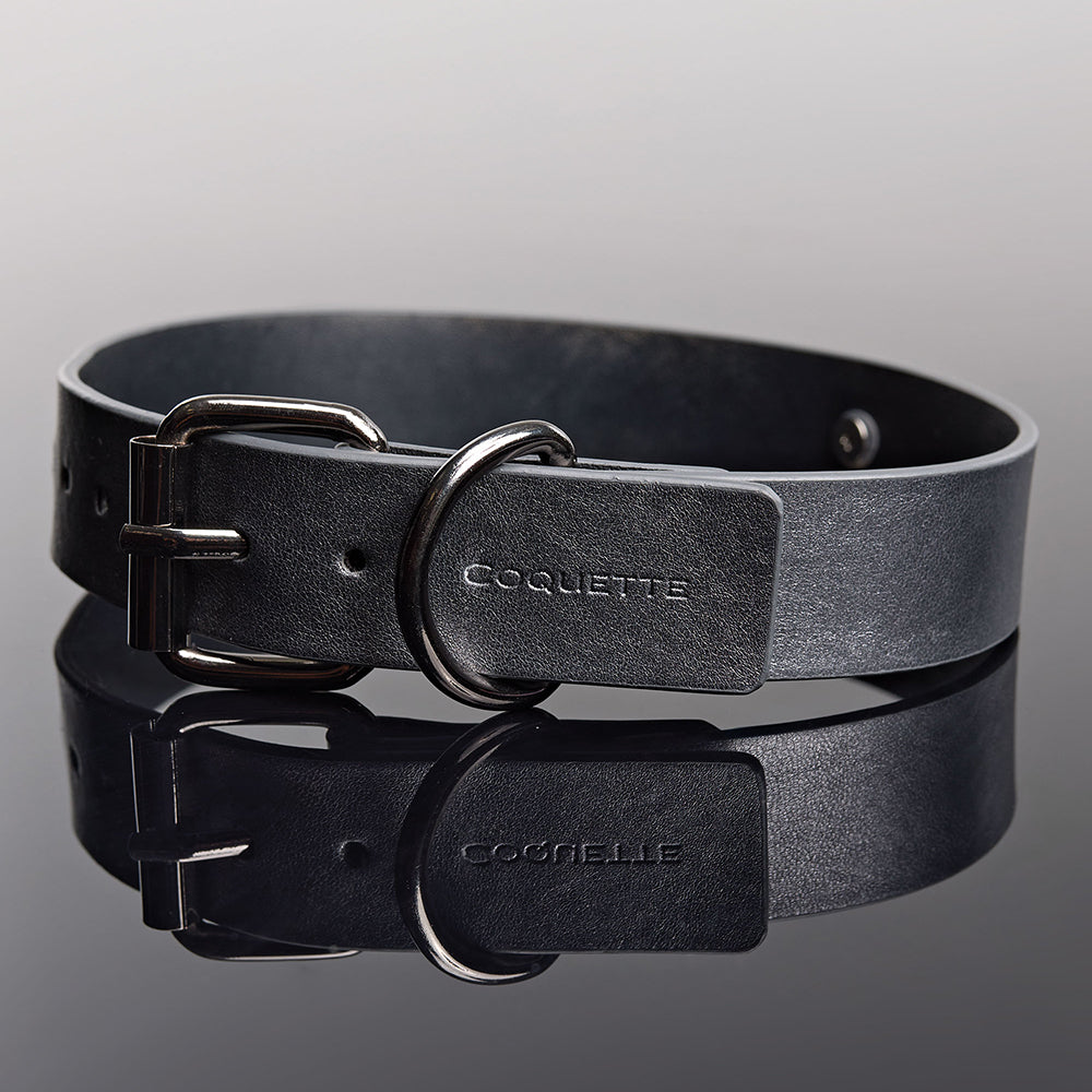 Coquette Pleasure Collar & Leash Grey