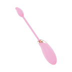 Blaze Dual Massager Kit Pink