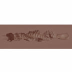 Xkin Raw The Grip Stroker Brown