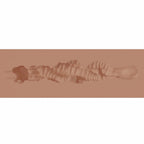 Xkin Raw The Grip Stroker Tan