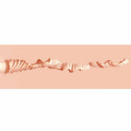 Xkin Career Girls Sasha Slippernip Stroker Beige