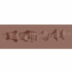 Xkin Raw Velvet Vice Stroker Brown