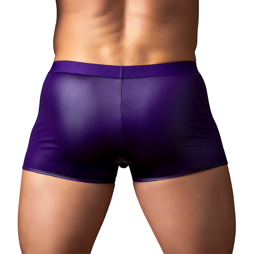 Male Power Eggplant Crossover Short Plum M