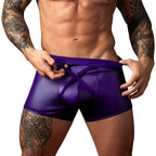 Male Power Eggplant Crossover Short Plum L