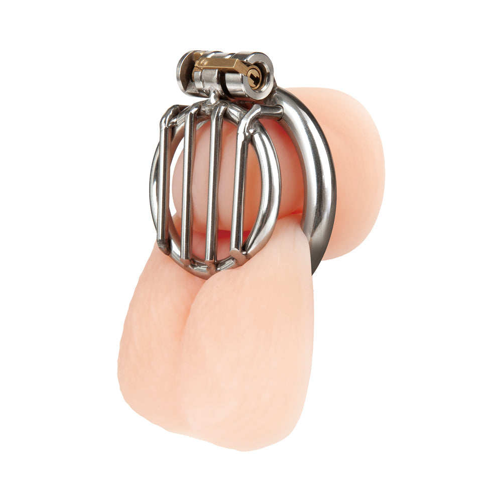 Blue Line Stainless Steel Inverted Micro Jail Time Chastity Cage