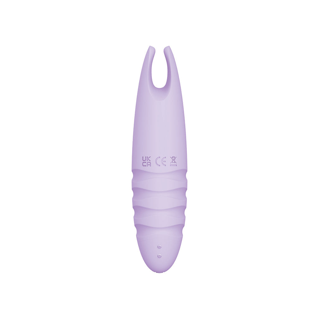 Sorbet Purple Passion Lavender