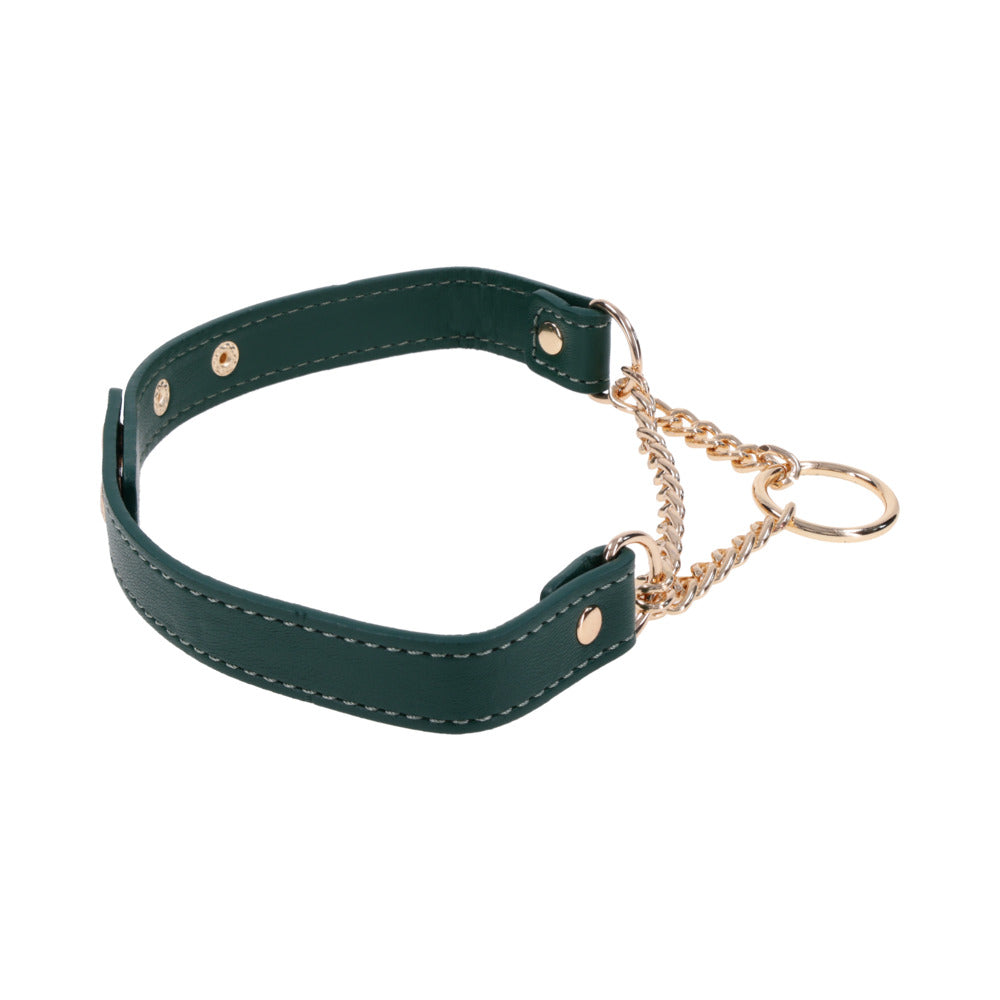 Sportsheets Sex & Mischief Indica Day Collar